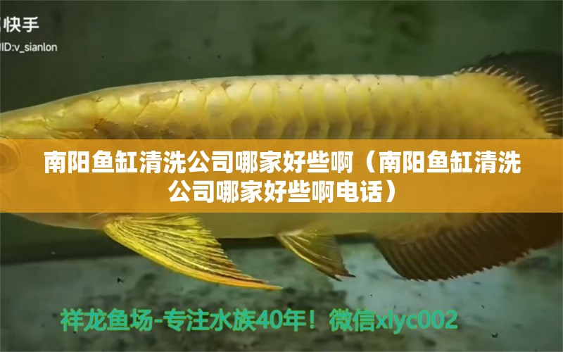 南陽魚缸清洗公司哪家好些?。详桇~缸清洗公司哪家好些啊電話）