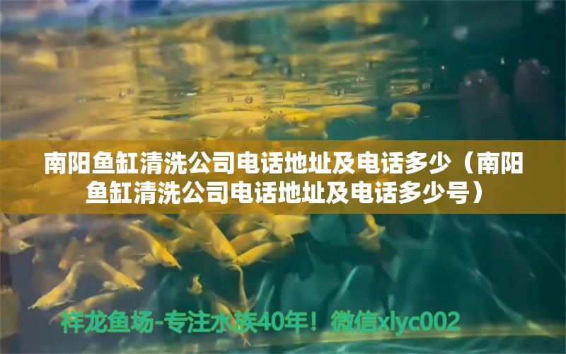 南陽魚缸清洗公司電話地址及電話多少（南陽魚缸清洗公司電話地址及電話多少號） 觀賞蝦蟹等飼料