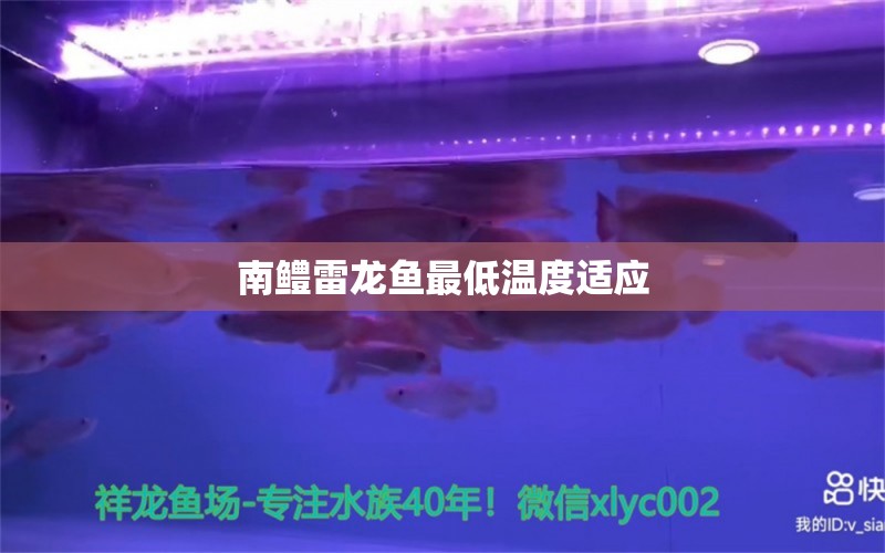 南鱧雷龍魚最低溫度適應