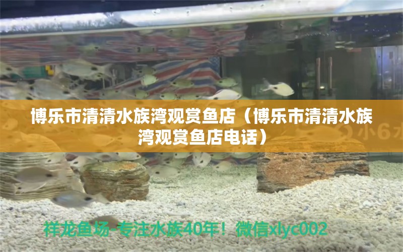 博樂市清清水族灣觀賞魚店（博樂市清清水族灣觀賞魚店電話） 全國水族館企業(yè)名錄