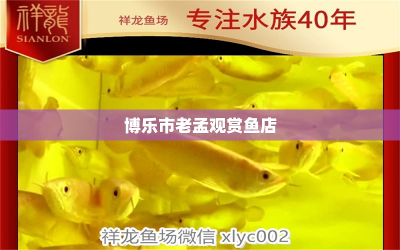 博樂市老孟觀賞魚店 全國水族館企業(yè)名錄