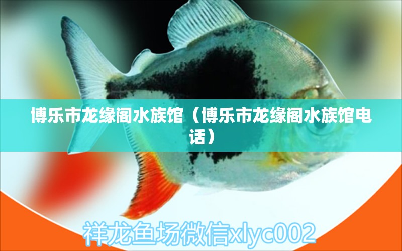 博樂市龍緣閣水族館（博樂市龍緣閣水族館電話） 全國水族館企業(yè)名錄