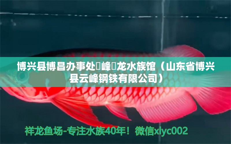 博興縣博昌辦事處雲(yún)峰魟龍水族館（山東省博興縣云峰鋼鐵有限公司）