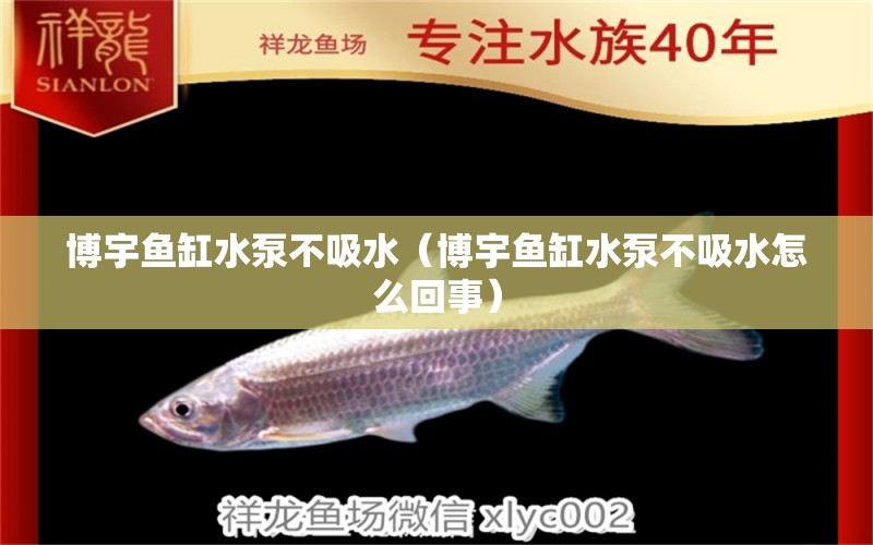 博宇魚缸水泵不吸水（博宇魚缸水泵不吸水怎么回事） 魚缸水泵