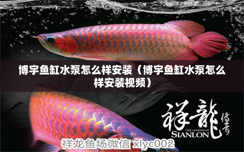 博宇魚(yú)缸水泵怎么樣安裝（博宇魚(yú)缸水泵怎么樣安裝視頻）