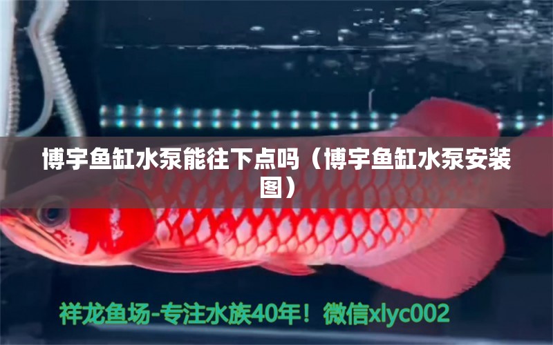 博宇魚缸水泵能往下點(diǎn)嗎（博宇魚缸水泵安裝圖）