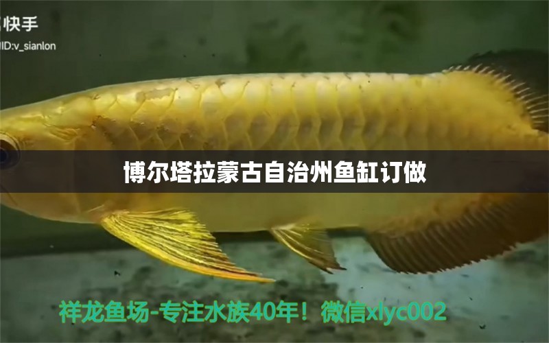 博爾塔拉蒙古自治州魚(yú)缸訂做