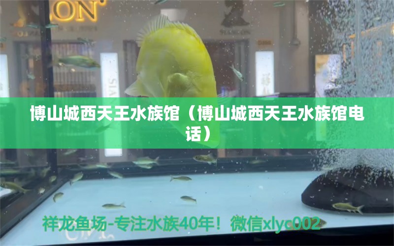 博山城西天王水族館（博山城西天王水族館電話） 全國水族館企業(yè)名錄