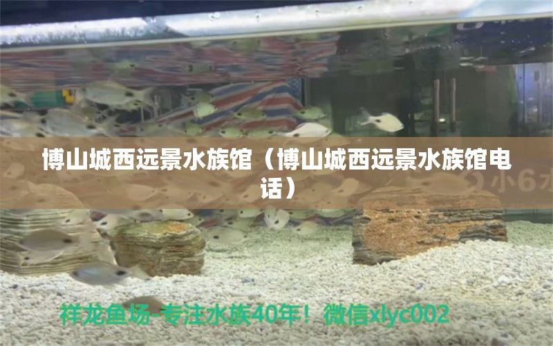 博山城西遠景水族館（博山城西遠景水族館電話）