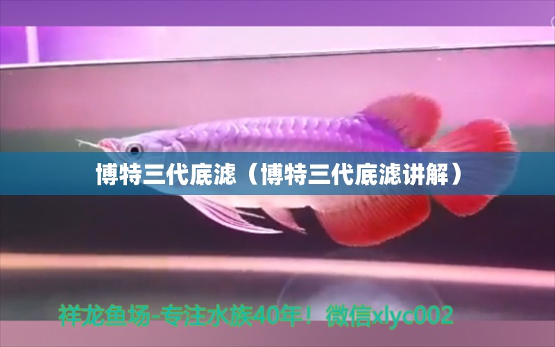 博特三代底濾（博特三代底濾講解） 博特水族