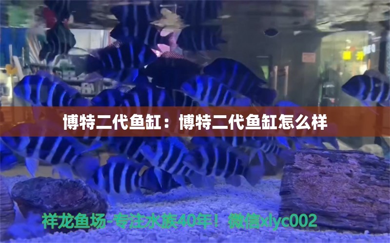 博特二代魚缸：博特二代魚缸怎么樣