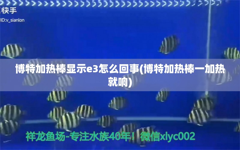 博特加熱棒顯示e3怎么回事(博特加熱棒一加熱就響) 博特水族