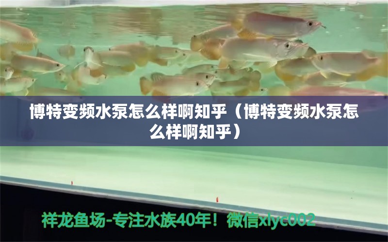 博特變頻水泵怎么樣啊知乎（博特變頻水泵怎么樣啊知乎）