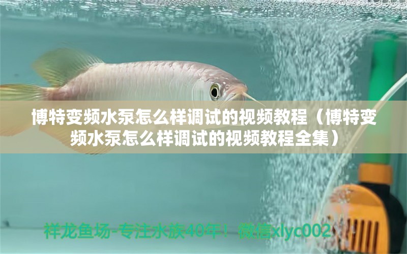 博特變頻水泵怎么樣調(diào)試的視頻教程（博特變頻水泵怎么樣調(diào)試的視頻教程全集） 博特水族