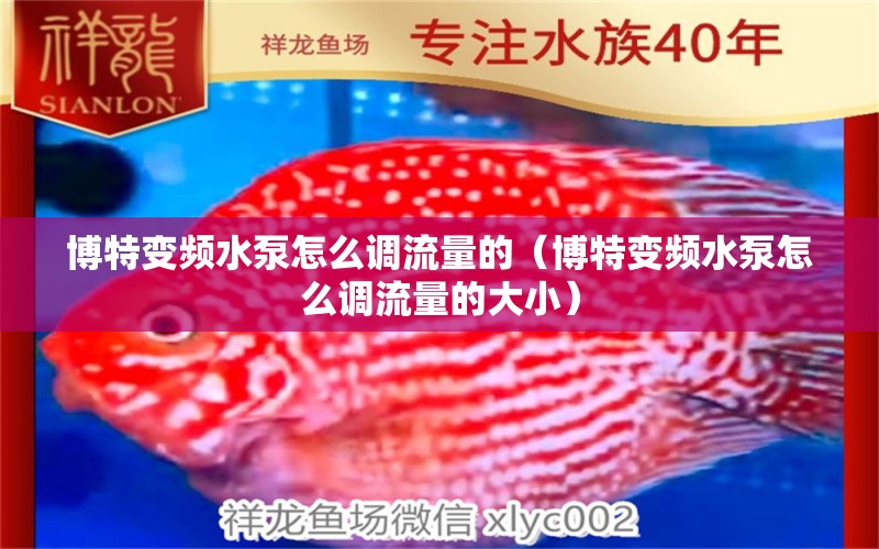 博特變頻水泵怎么調(diào)流量的（博特變頻水泵怎么調(diào)流量的大?。? title=