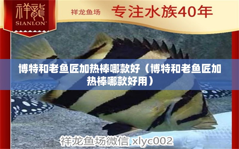 博特和老魚匠加熱棒哪款好（博特和老魚匠加熱棒哪款好用）