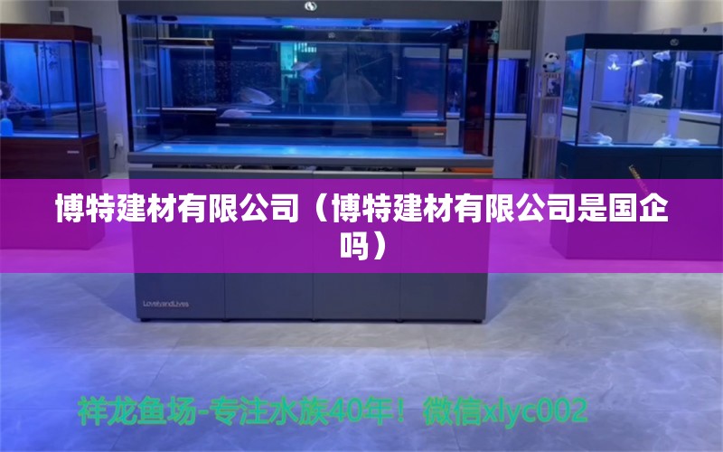 博特建材有限公司（博特建材有限公司是國企嗎）