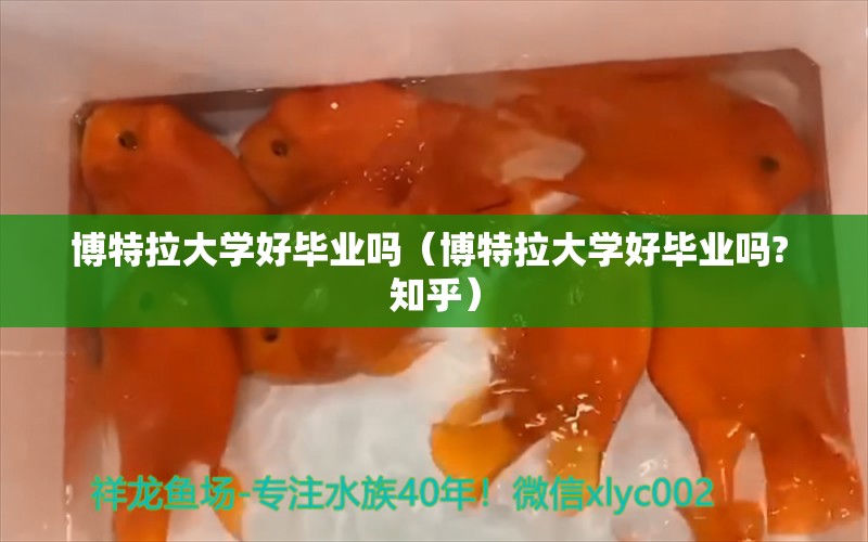 博特拉大學好畢業(yè)嗎（博特拉大學好畢業(yè)嗎?+知乎） 博特水族