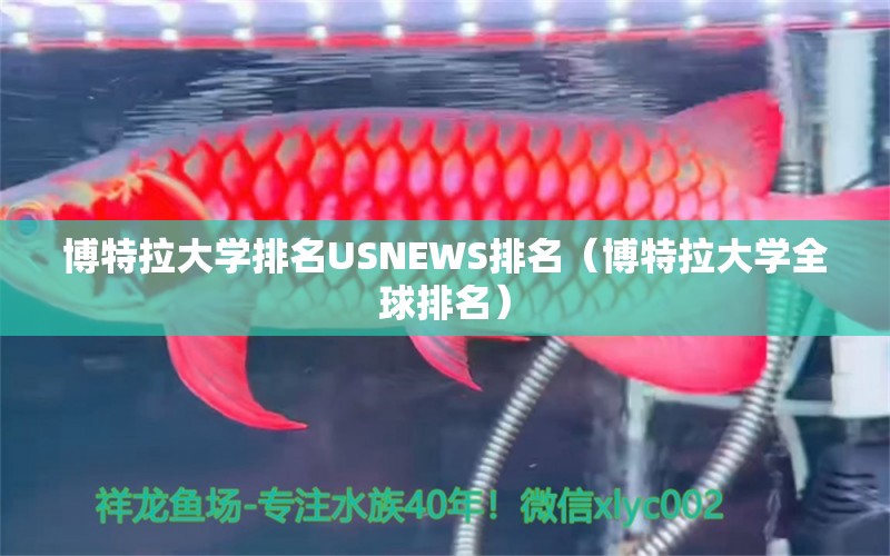 博特拉大學(xué)排名USNEWS排名（博特拉大學(xué)全球排名）