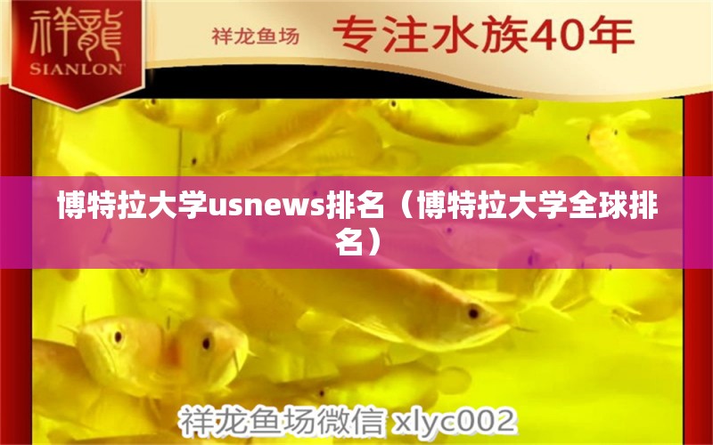 博特拉大學(xué)usnews排名（博特拉大學(xué)全球排名）