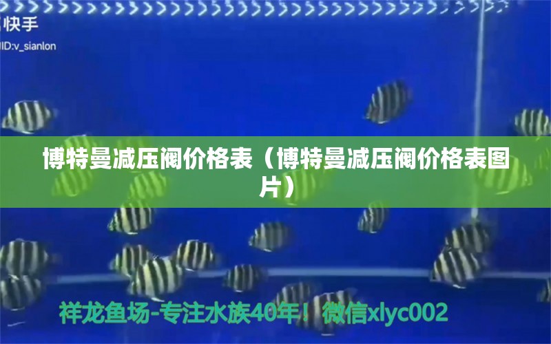 博特曼減壓閥價格表（博特曼減壓閥價格表圖片） 博特水族