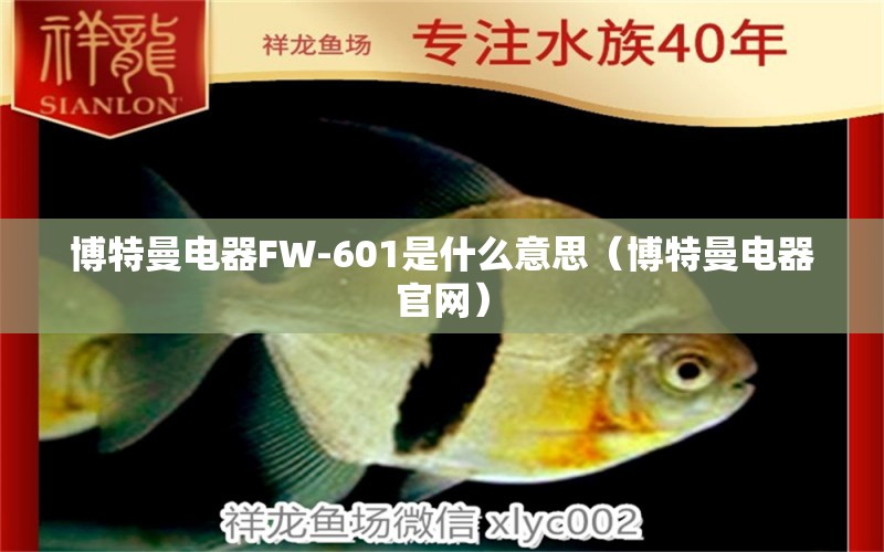 博特曼電器FW-601是什么意思（博特曼電器官網(wǎng)）