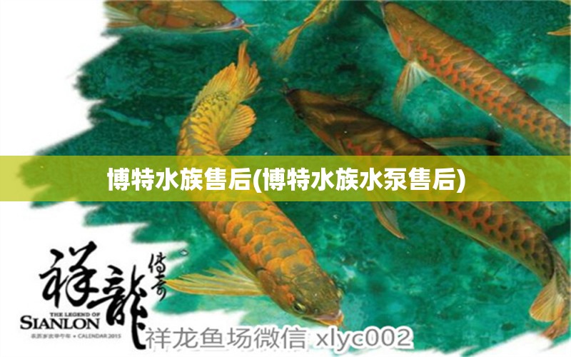 博特水族售后(博特水族水泵售后)