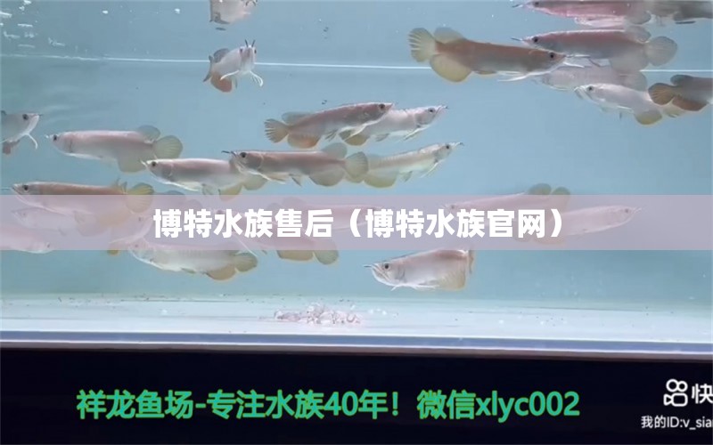 博特水族售后（博特水族官網(wǎng)）