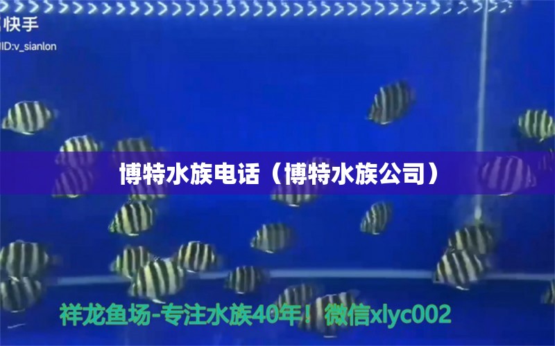 博特水族電話(huà)（博特水族公司） 博特水族