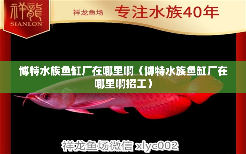 博特水族魚(yú)缸廠在哪里?。ú┨厮弭~(yú)缸廠在哪里啊招工） 博特水族