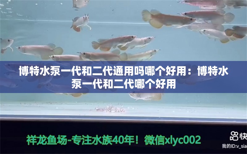 博特水泵一代和二代通用嗎哪個好用：博特水泵一代和二代哪個好用 博特水族 第2張