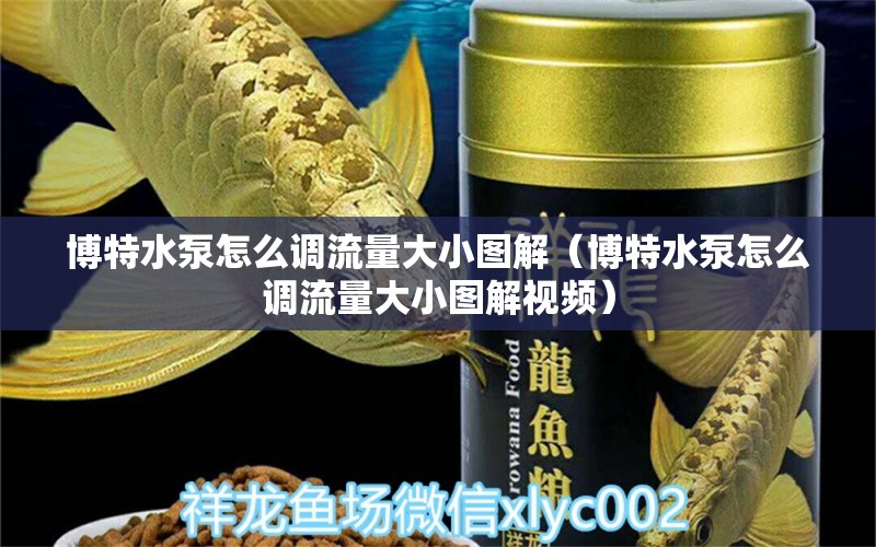 博特水泵怎么調(diào)流量大小圖解（博特水泵怎么調(diào)流量大小圖解視頻）