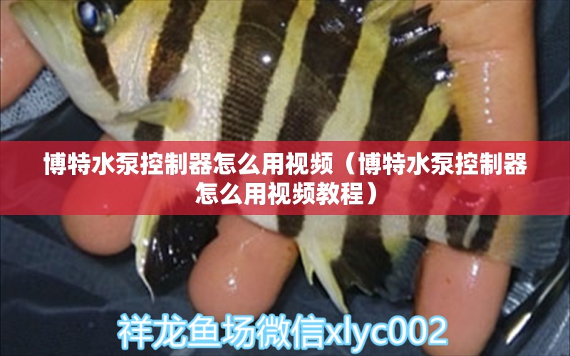 博特水泵控制器怎么用視頻（博特水泵控制器怎么用視頻教程）