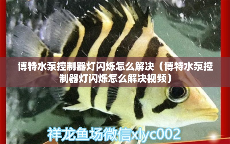 博特水泵控制器燈閃爍怎么解決（博特水泵控制器燈閃爍怎么解決視頻）