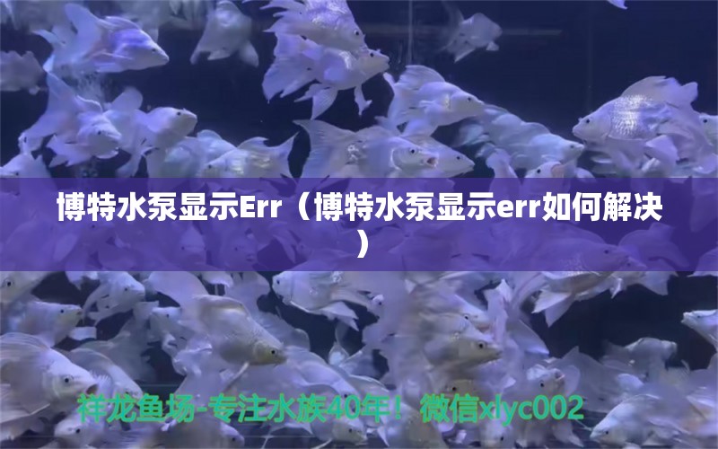 博特水泵顯示Err（博特水泵顯示err如何解決） 博特水族