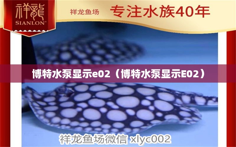 博特水泵顯示e02（博特水泵顯示E02） 博特水族