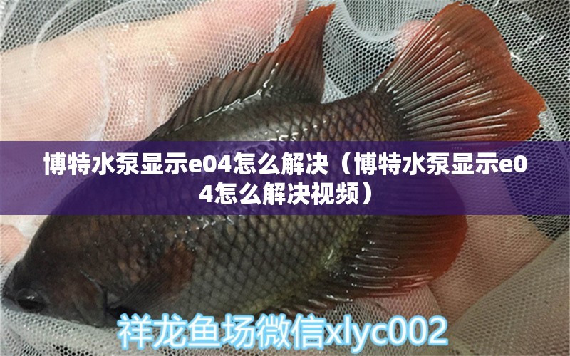 博特水泵顯示e04怎么解決（博特水泵顯示e04怎么解決視頻）