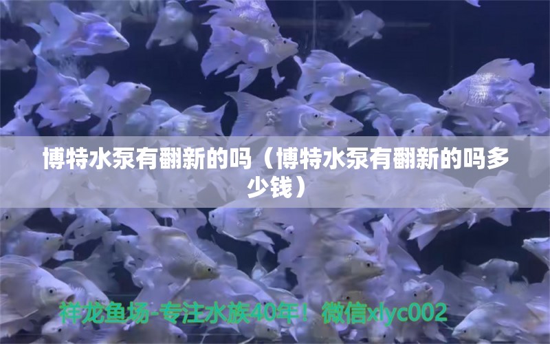 博特水泵有翻新的嗎（博特水泵有翻新的嗎多少錢）