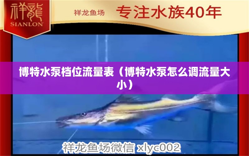 博特水泵檔位流量表（博特水泵怎么調(diào)流量大?。?泰國虎魚