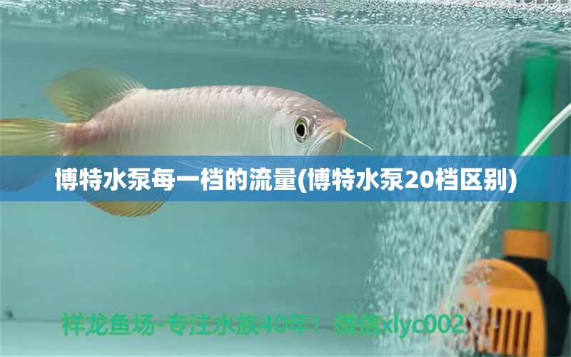 博特水泵每一檔的流量(博特水泵20檔區(qū)別)