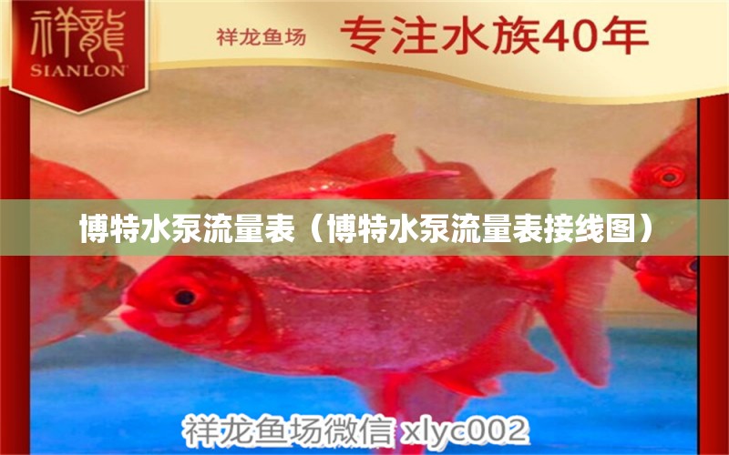 博特水泵流量表（博特水泵流量表接線圖）