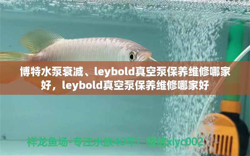 博特水泵衰減、leybold真空泵保養(yǎng)維修哪家好，leybold真空泵保養(yǎng)維修哪家好