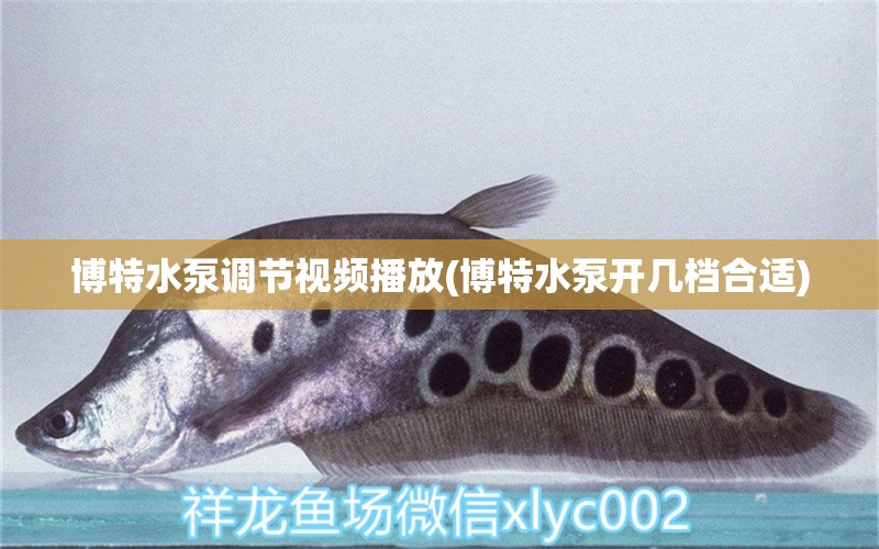 博特水泵調(diào)節(jié)視頻播放(博特水泵開幾檔合適) 博特水族 第1張