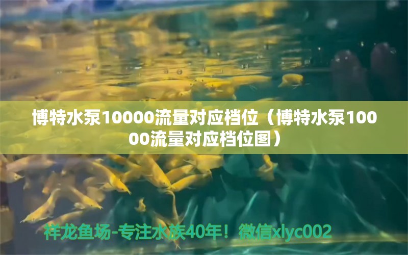 博特水泵10000流量對(duì)應(yīng)檔位（博特水泵10000流量對(duì)應(yīng)檔位圖） 博特水族