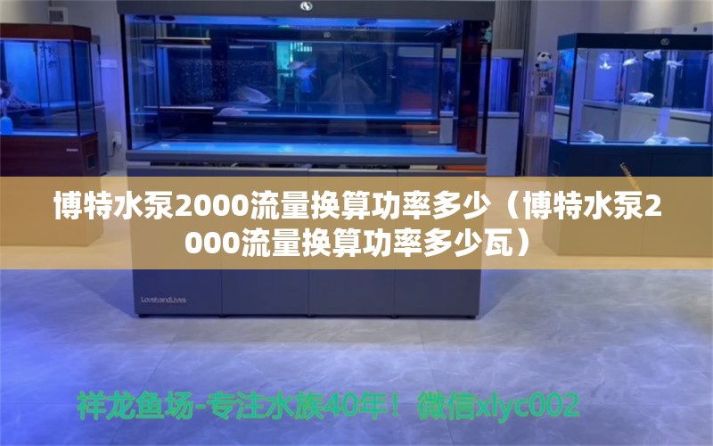 博特水泵2000流量換算功率多少（博特水泵2000流量換算功率多少瓦）