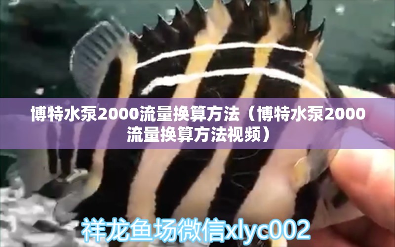 博特水泵2000流量換算方法（博特水泵2000流量換算方法視頻） 博特水族