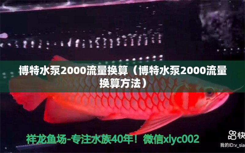 博特水泵2000流量換算（博特水泵2000流量換算方法）