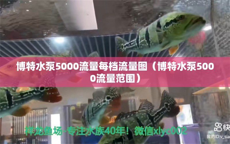 博特水泵5000流量每檔流量圖（博特水泵5000流量范圍）