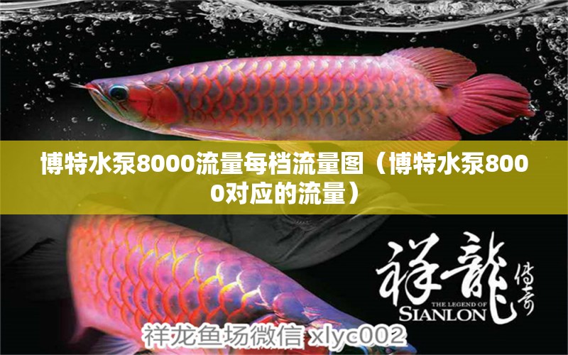 博特水泵8000流量每檔流量圖（博特水泵8000對(duì)應(yīng)的流量） 博特水族