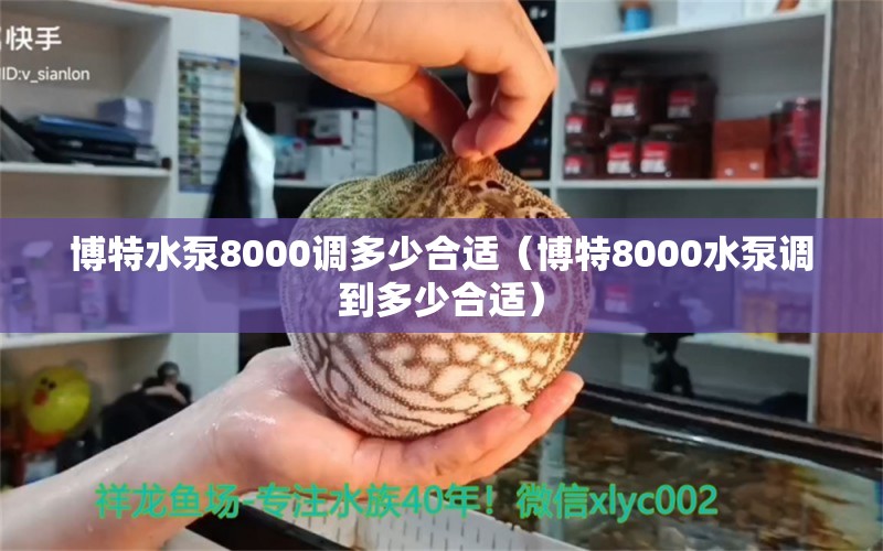 博特水泵8000調(diào)多少合適（博特8000水泵調(diào)到多少合適）